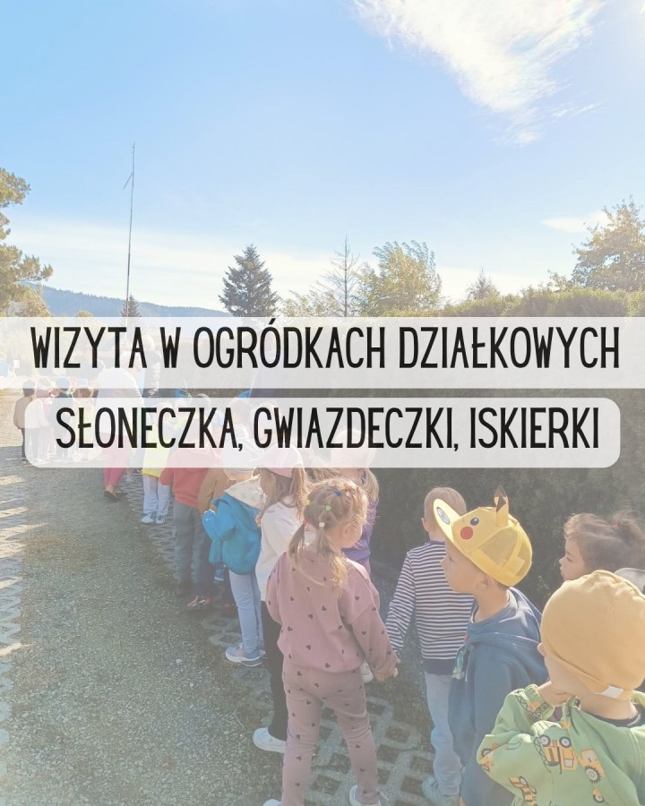 Spacer grup Słoneczka, Gwiazdeczki i Iskierki na ogródki działkowe